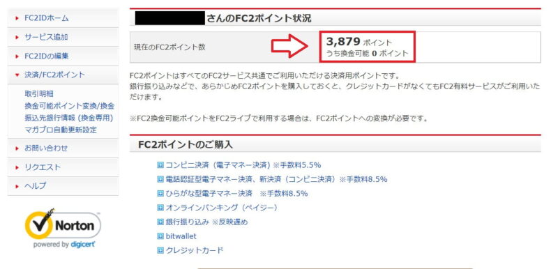 FC2ポイント残高確認画面の例
