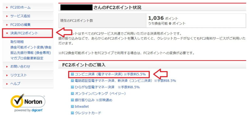 FC2ポイント購入画面の例