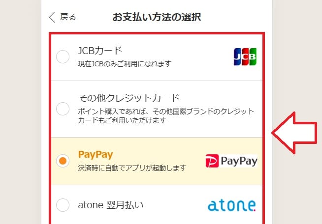 DLsite支払方法選択